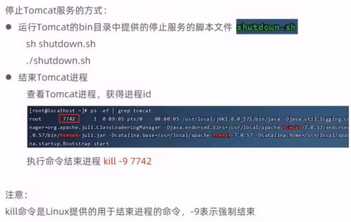 华为云云耀云服务器l实例评测 瑞吉外卖下载与部署及项目策划与公关服务